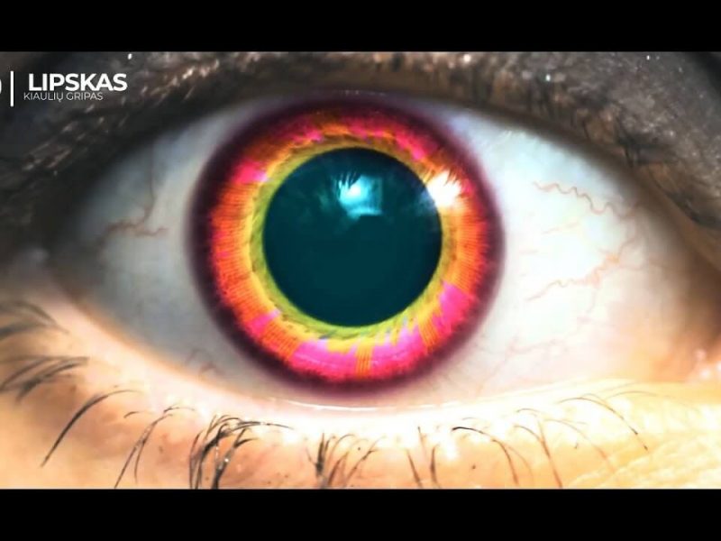 Lipskas - Kiaulių gripas