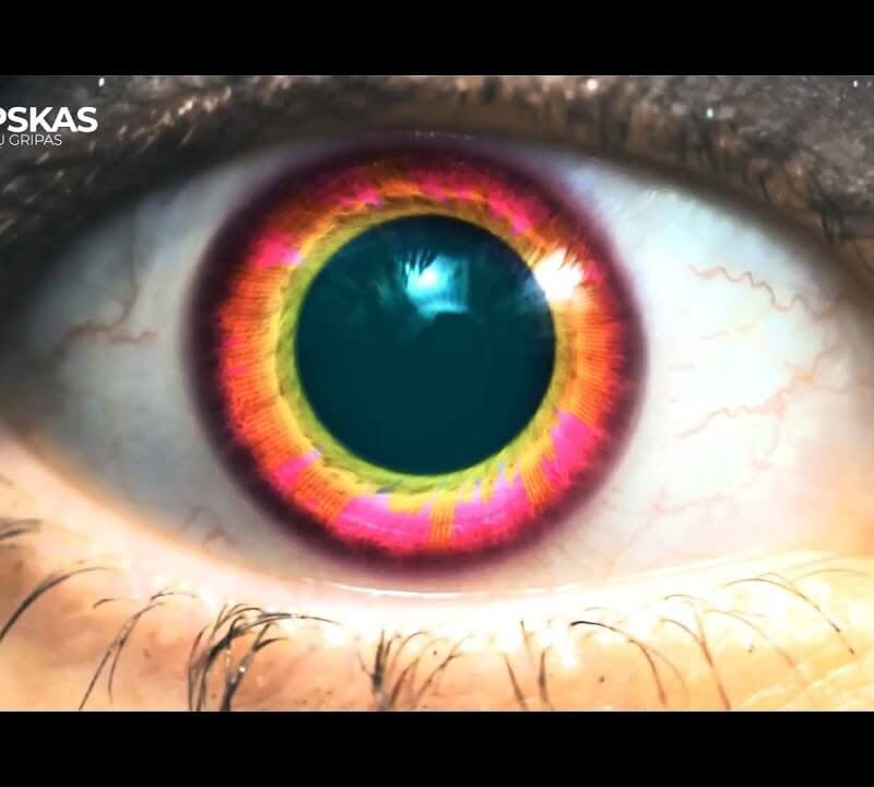 Lipskas - Kiaulių gripas